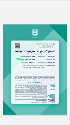 רישיון מקצועי